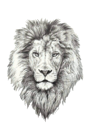 White Lion Logo